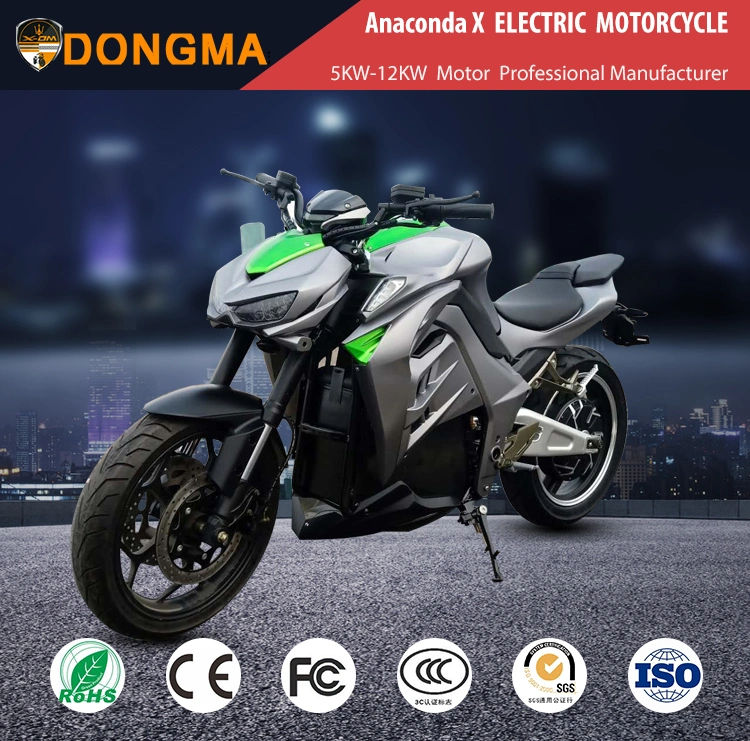 Dongma N19 New High Speed Super Power Long Range Scooter Dirt Bike Electric Motorcycle with Disc Brake