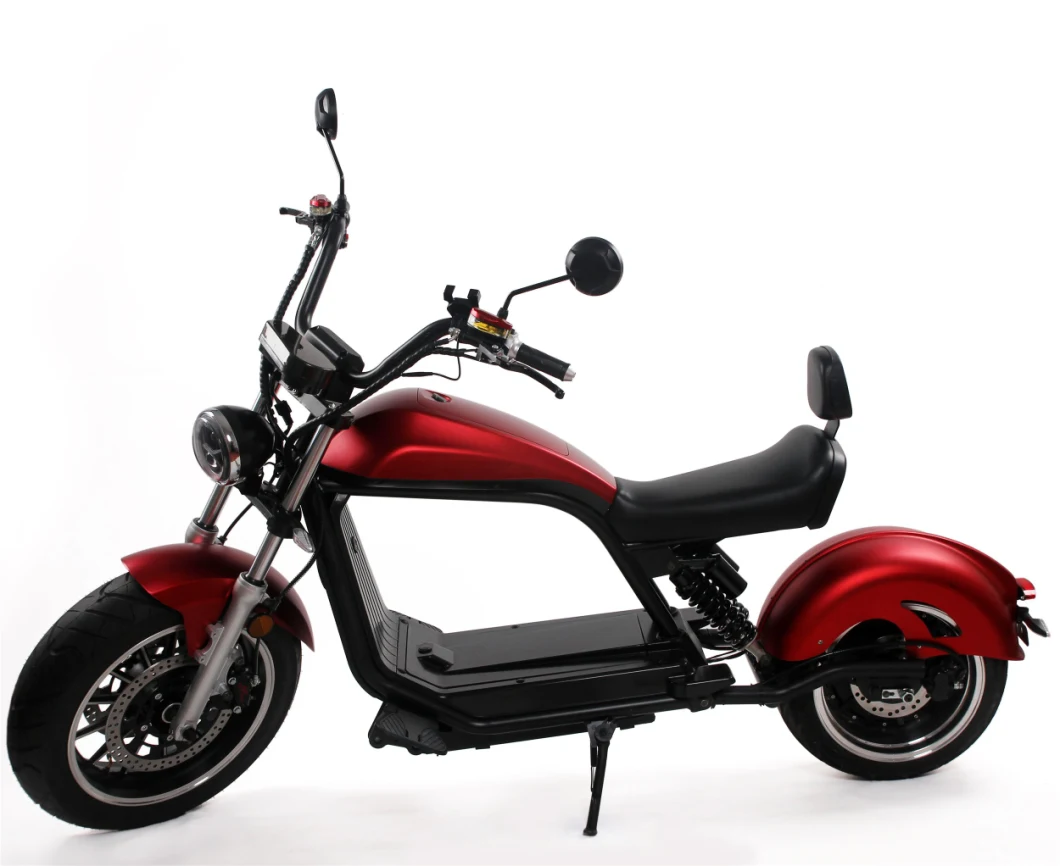 Smart Electric Motorcycle 2 Wheel Citycoco Scooter for Adults