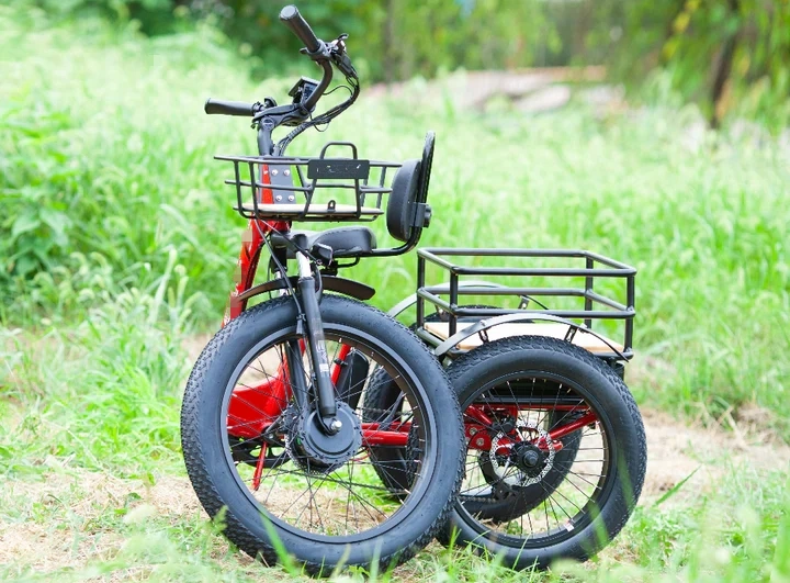 750W Bike Cargo Turkey Electric Trike Big Tire Motorcycle with Rear Basket 3 Wheel E Trike